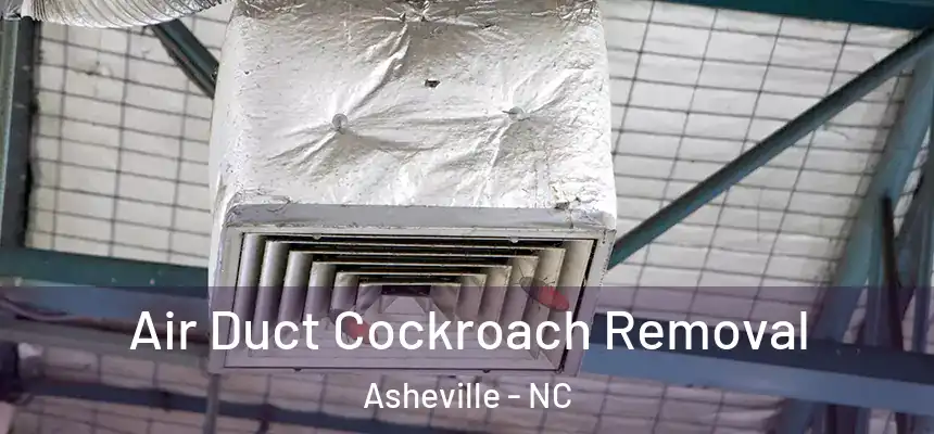  Air Duct Cockroach Removal Asheville - NC
