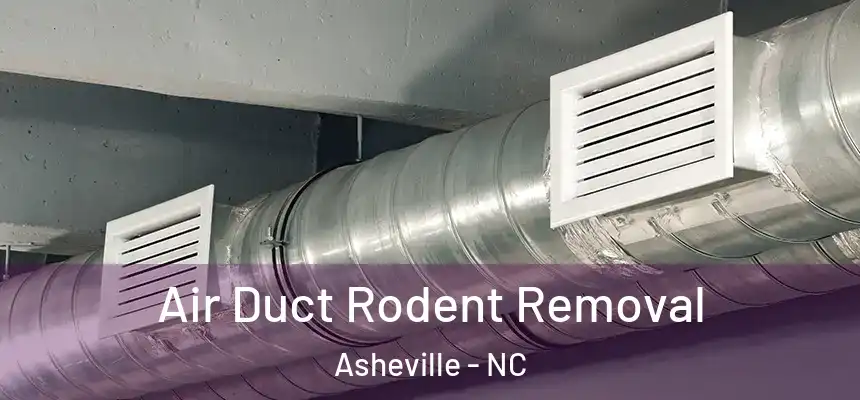 Air Duct Rodent Removal Asheville - NC