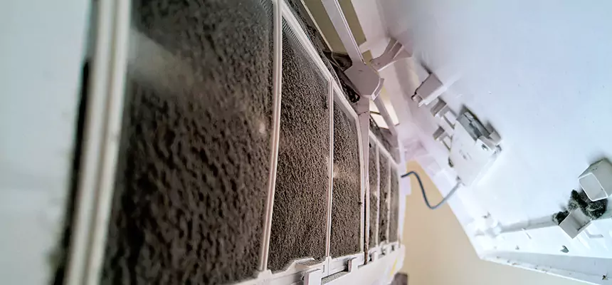 Preventive Air Duct Bacteria Removal in Asheville