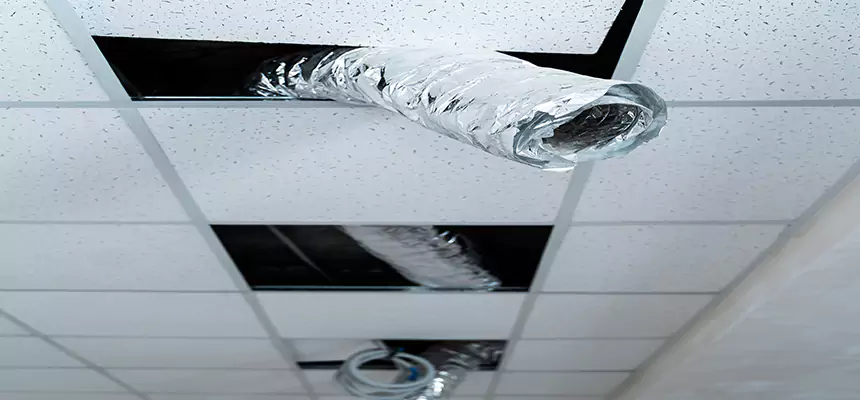 Affordable HVAC Sanitizing After Pest Removal in Asheville