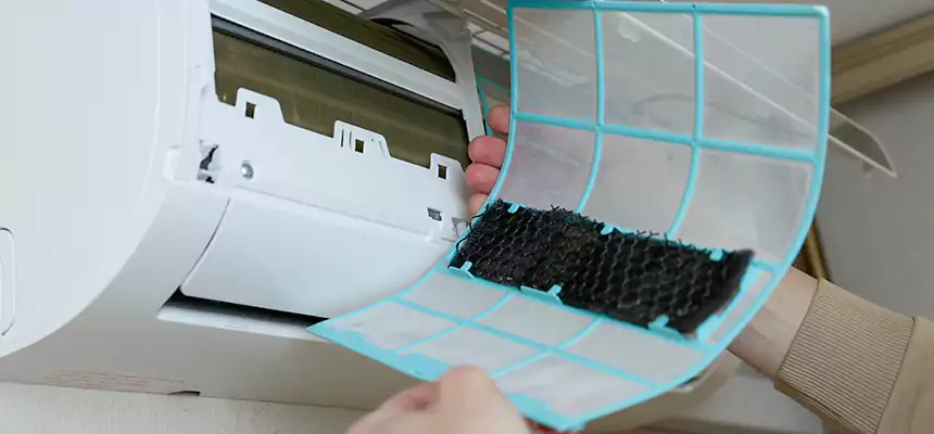 Gentle Ductwork Odor-Control Pet Dander Duct Cleaning in Asheville, NC