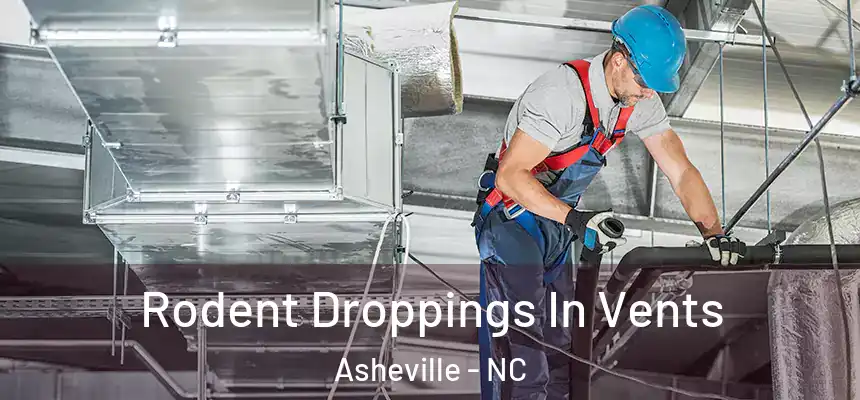 Rodent Droppings In Vents Asheville - NC