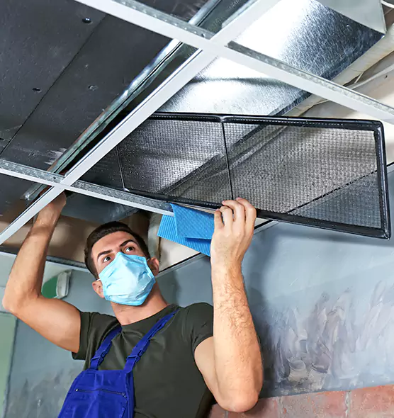 About Air Duct Bacteria Removal in Asheville