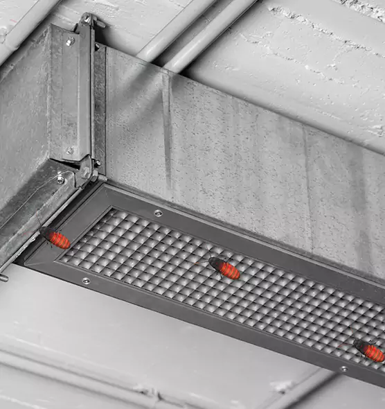 About Air Duct Cockroach Removal in Asheville, NC