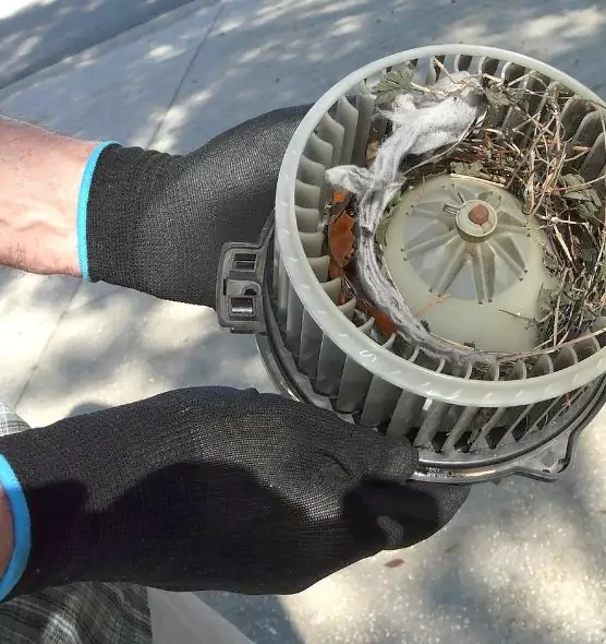 About Air Duct Mice Removal in Asheville, NC