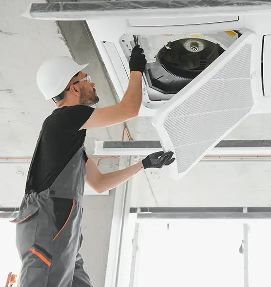 About Air Duct Rodent Removal in Asheville, NC