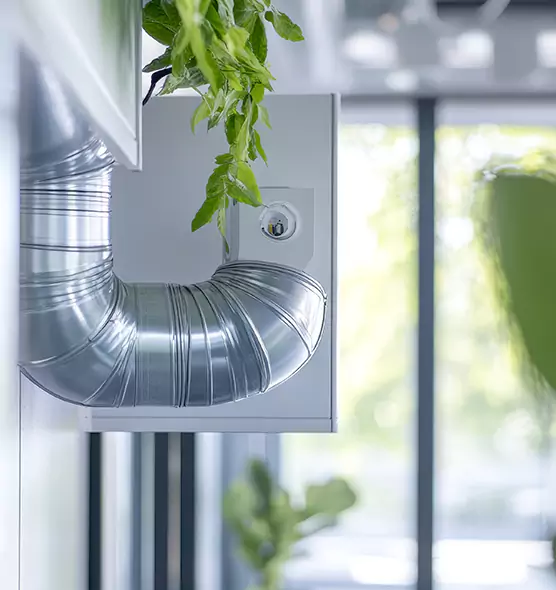 Professional Eco-Safe Dryer Vent Cleaning in Asheville, NC