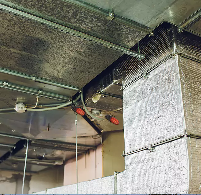 Why Homeowners & Businesses Trust Us Asheville, NC?