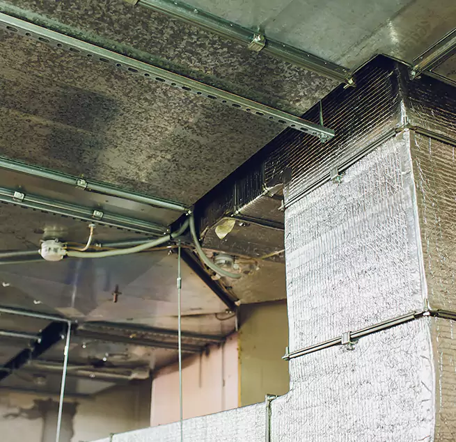 Why Homeowners & Businesses Trust Us in Asheville, NC?