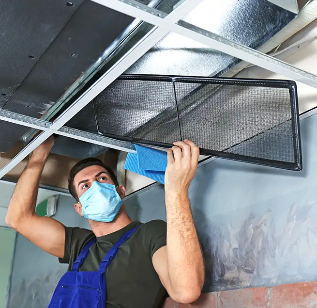 Why Homeowners & Businesses Trust Us in Asheville, NC?